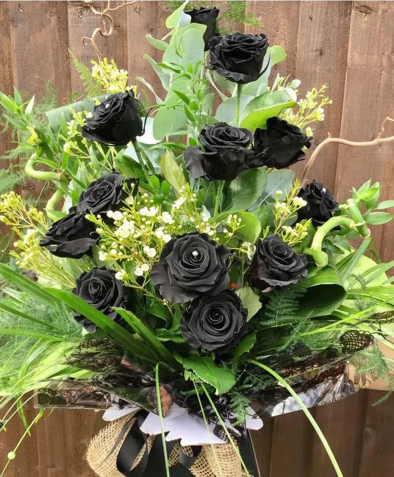 Black Roses Dozen Black Roses