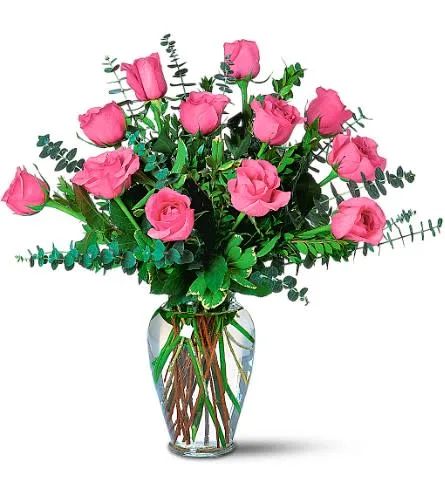 Hot Pink Dozen Roses Roses