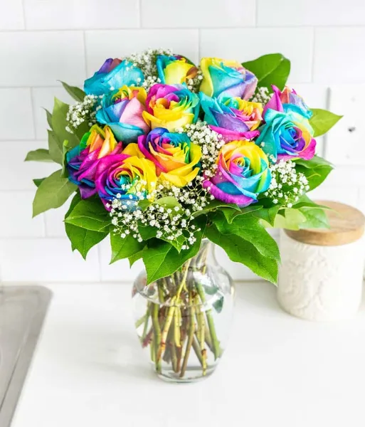 Rainbow Roses Roses Rainbow Roses Roses
