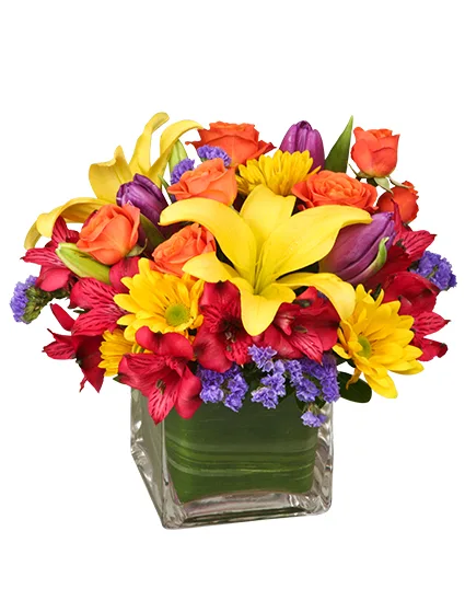 SUN-INFUSED FLOWERS Summer Arrangement SUN-INFUSED FLOWERS Summer Arrangement