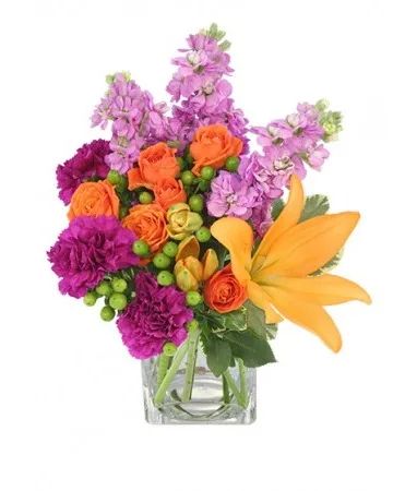 Jubilation Fresh flowers Colorful