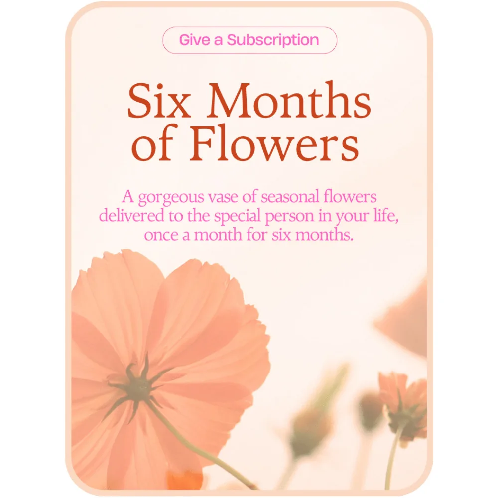 Bouquet of the Month Club (6) Flower Arrangement Bouquet of the Month Club (6) Flower Arrangement