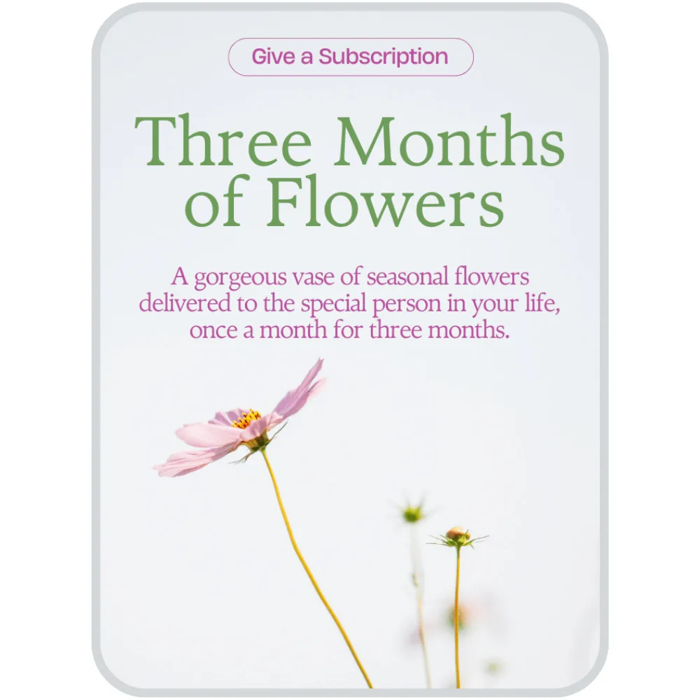 Bouquet of the Month Club (3) Flower Arrangement Bouquet of the Month Club (3) Flower Arrangement