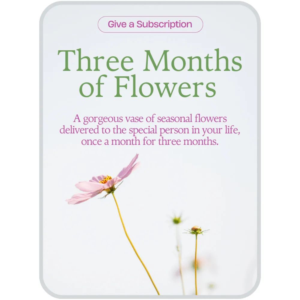 Bouquet of the Month Club (3) Flower Arrangement