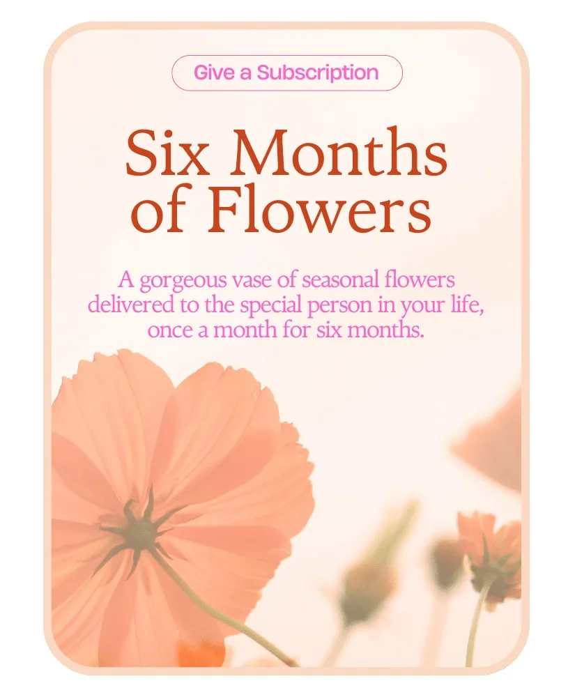 Bouquet of the Month Club (6) Flower Arrangement Bouquet of the Month Club (6) Flower Arrangement