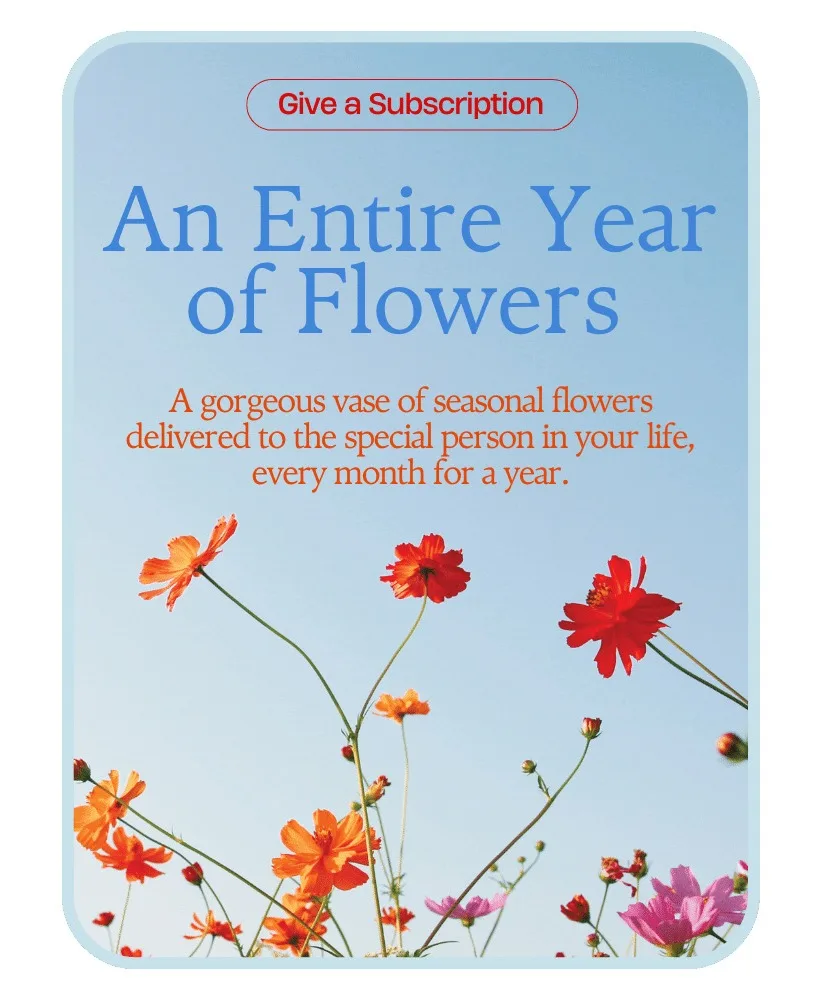 Bouquet of the Month Club Flower Arrangement Bouquet of the Month Club Flower Arrangement