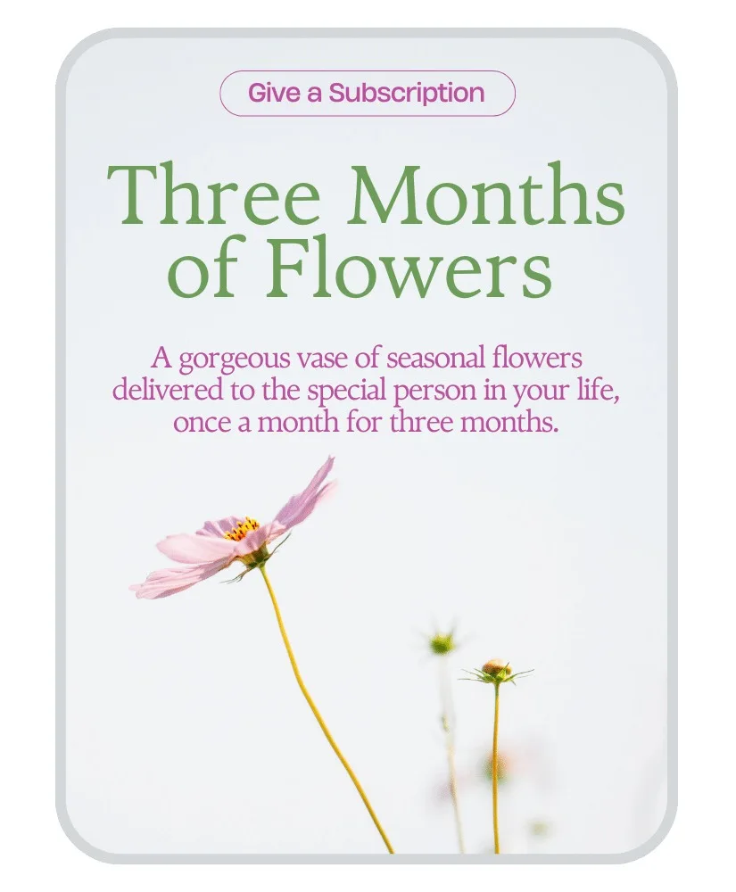 Bouquet of the Month Club (3) Flower Arrangement Bouquet of the Month Club (3) Flower Arrangement