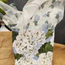 Gift Bag and Tissue image