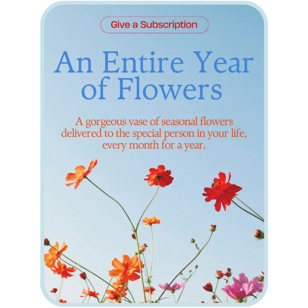 Bouquet of the Month Club Flower Arrangement Bouquet of the Month Club Flower Arrangement
