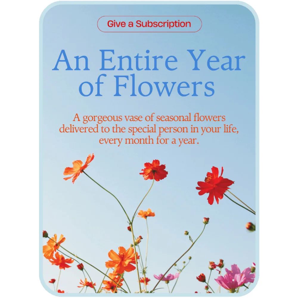 Bouquet of the Month Club Flower Arrangement