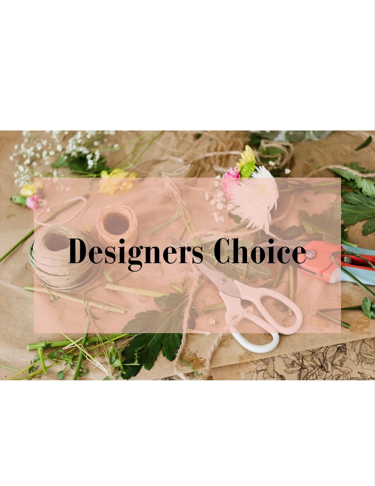 Designers Choice