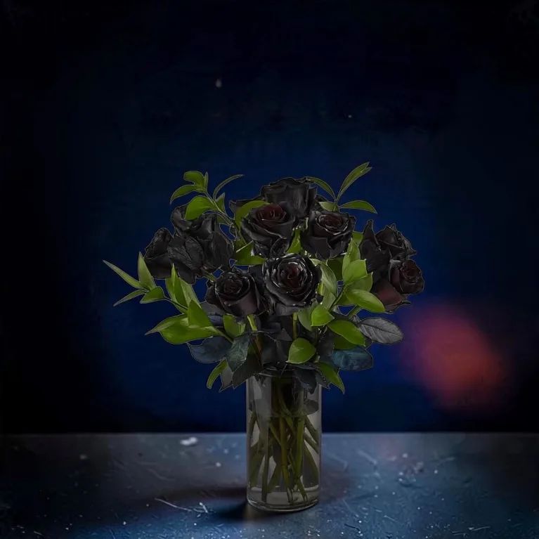One Dozen Black Roses