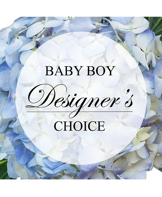 Baby Boy Designers Choice Baby Boy Designers Choice