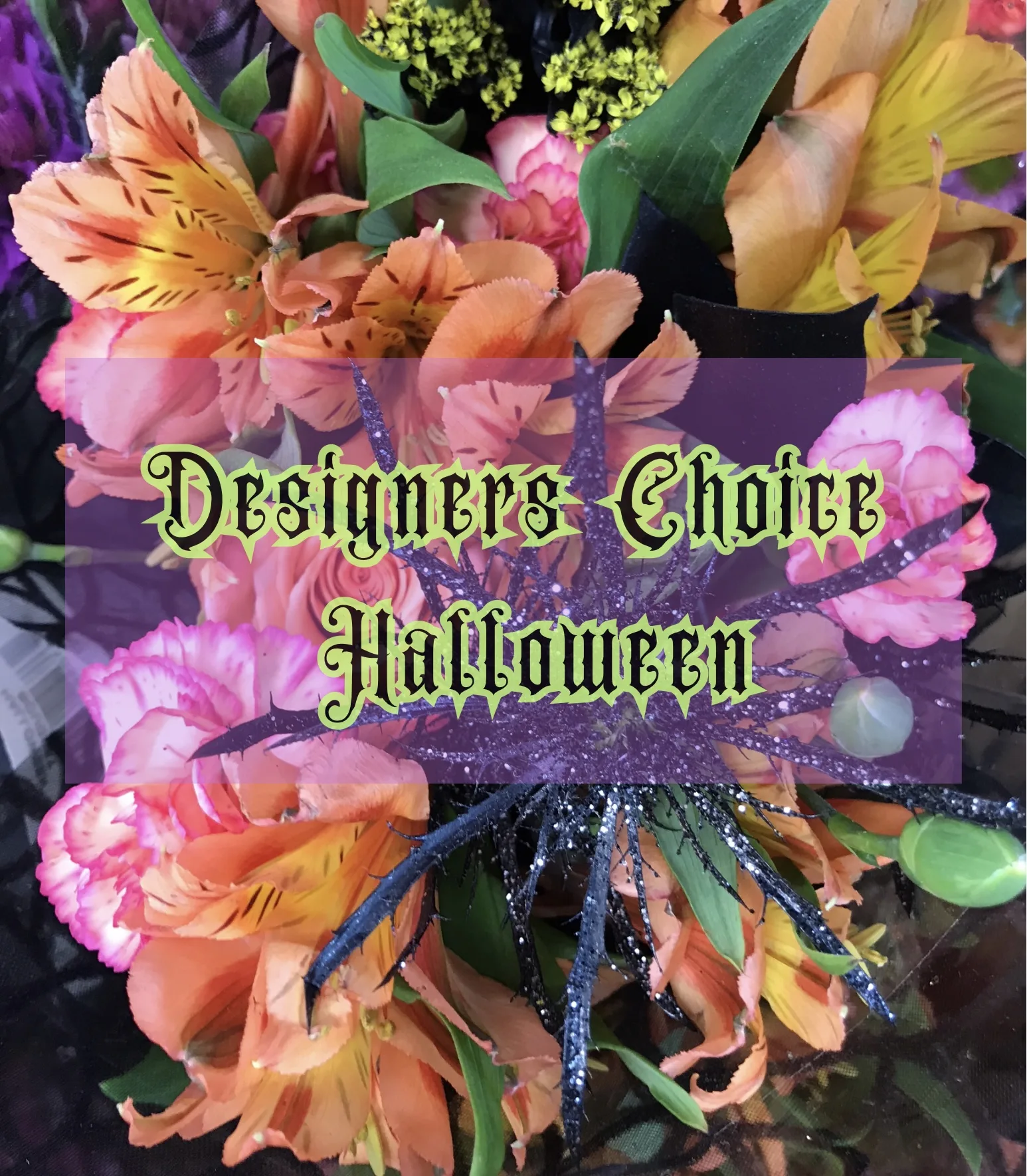 Designers Choice - Halloween Designers Choice - Halloween