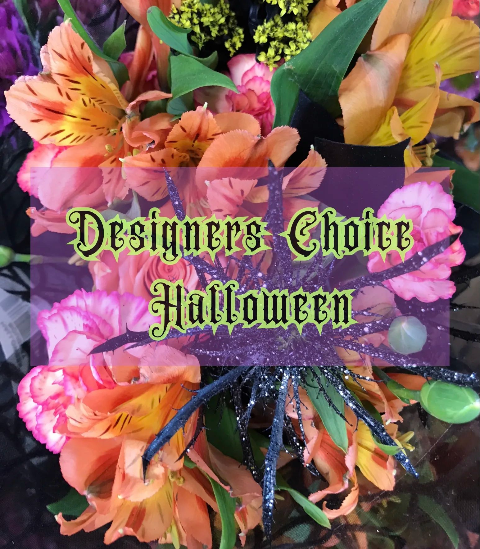 Designers Choice - Halloween