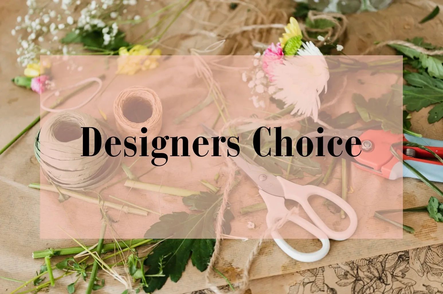 Designers Choice