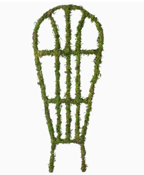 Moss Trellis Plant Moss Trellis Plant