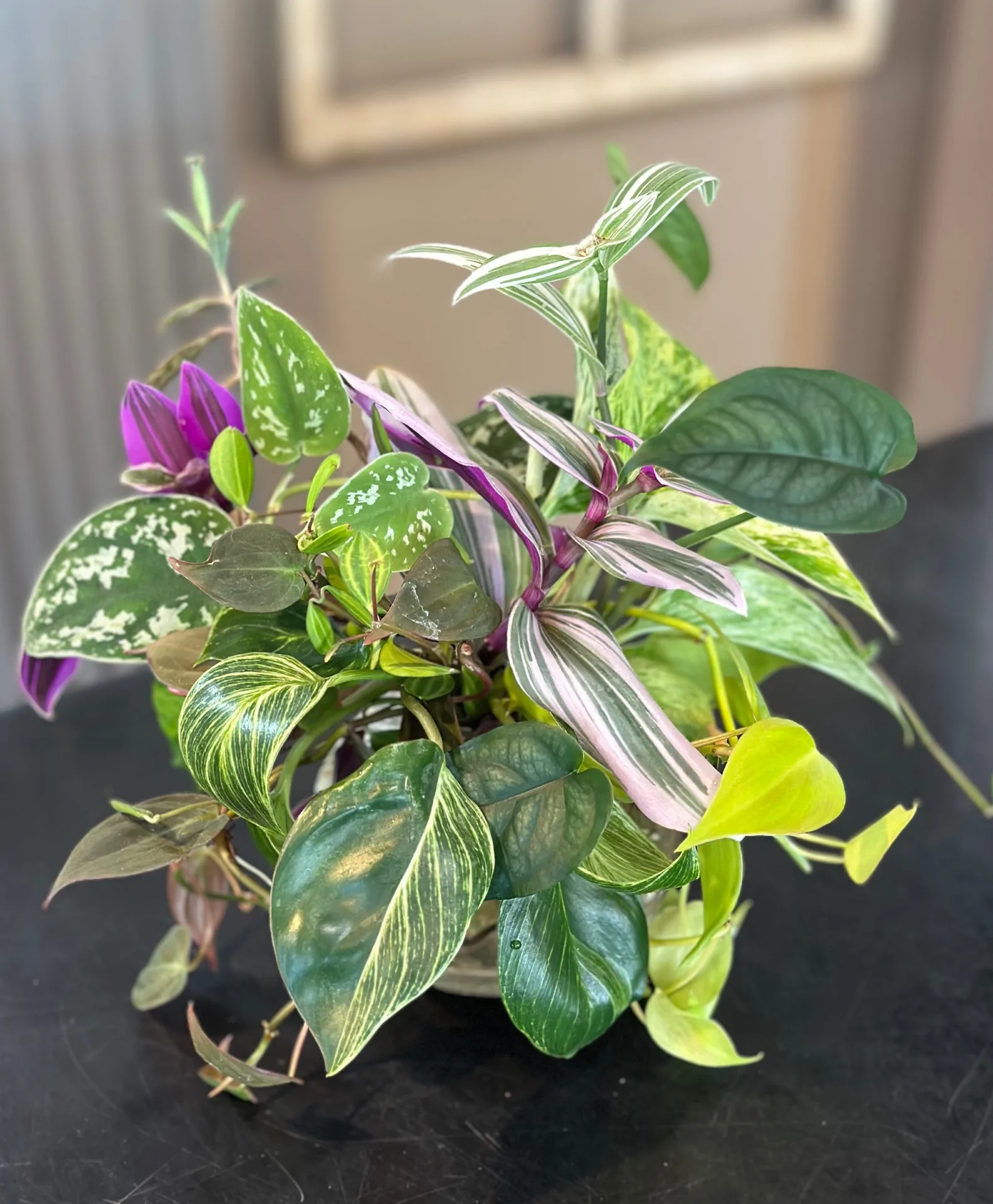 Cuttings Bouquet Designe's Choice Cuttings Bouquet Designe's Choice