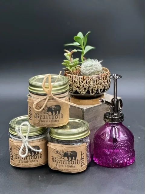 DIY Succulent Kit Custom Original