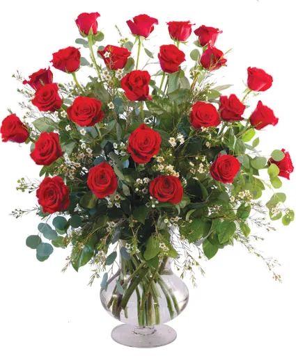 24 Radiant Roses