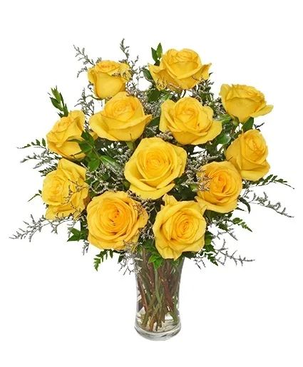 Dozen Yellow Roses