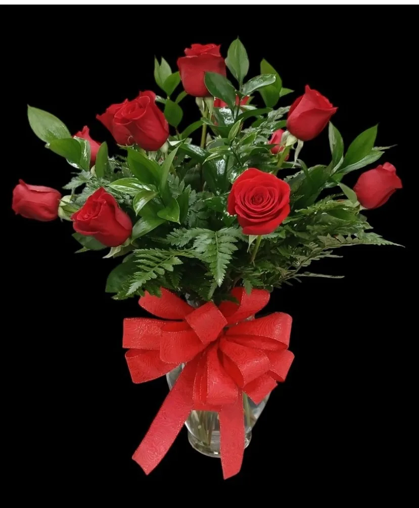 One Dozen Roses One Dozen Roses