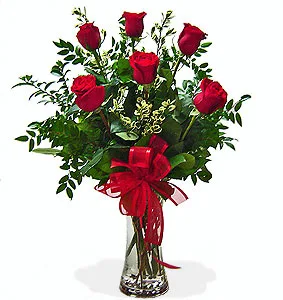 Half Dozen Roses Rose Arrangement Half Dozen Roses Rose Arrangement