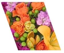 Designer's Choice Our designers will create something special for your budget and occasion.
