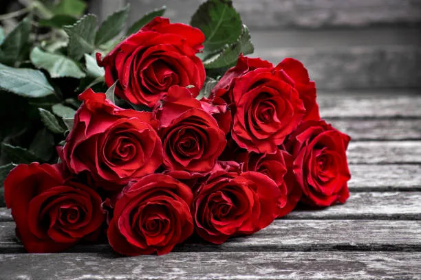 1/2 Dozen Rose Vase 1/2 Dozen Rose Vase
