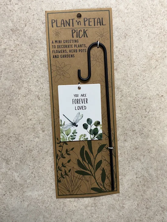 Plant Hook w/ Dragonfly Plant Hook w/ Dragonfly