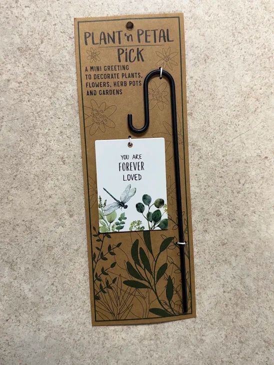 Plant Hook w/ Dragonfly