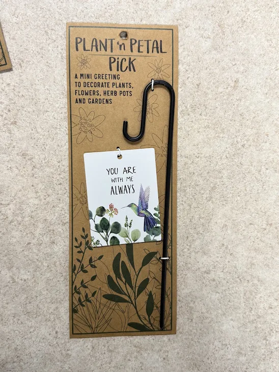 Plant Hook w/ Dragonfly Plant Hook w/ Dragonfly
