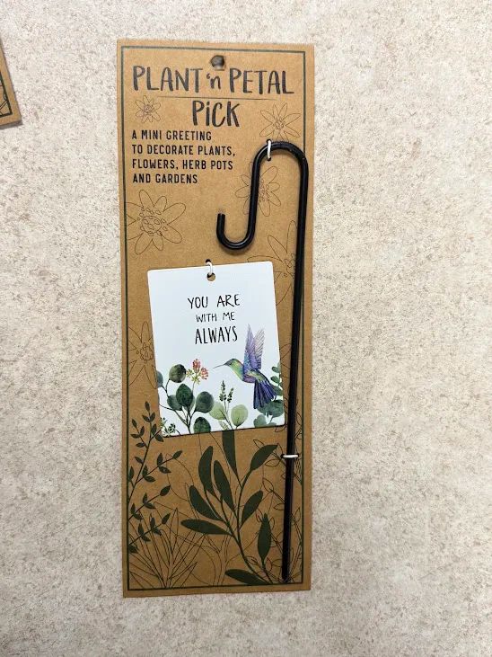 Plant Hook w/ Humming Bird