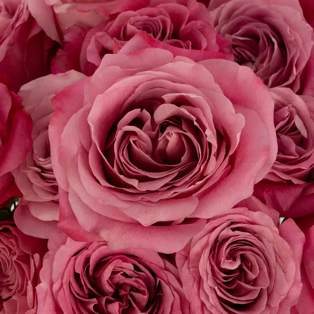 Rose Casket Spray Rose Casket Spray