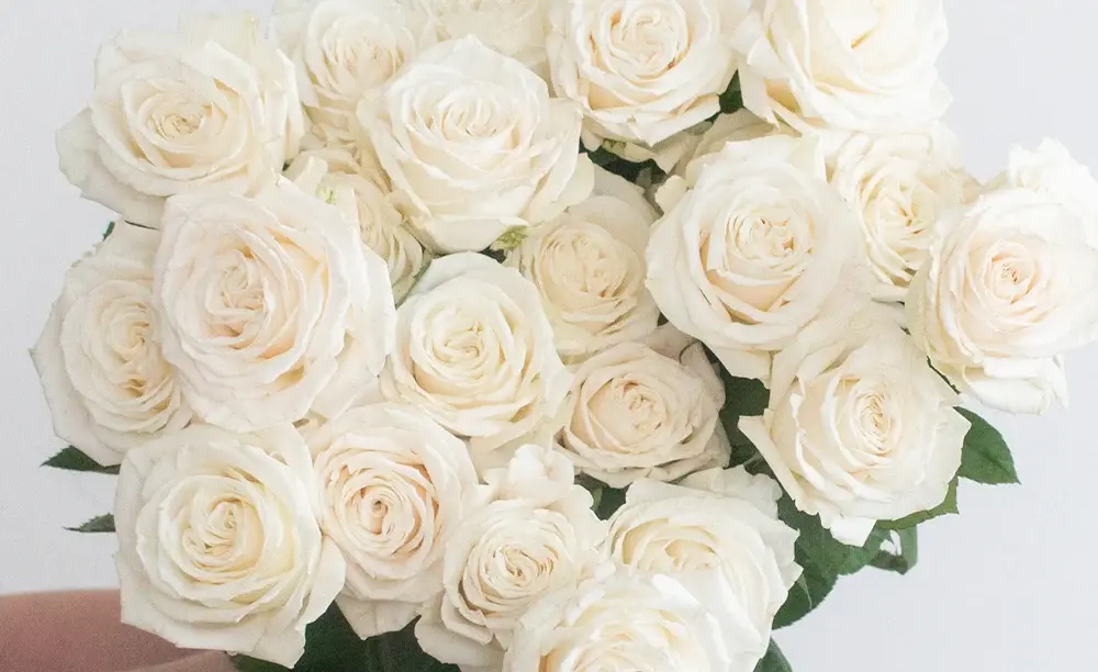 Rose Casket Spray Rose Casket Spray