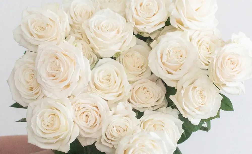 Rose Casket Spray