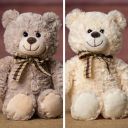 Stuffed Animal image