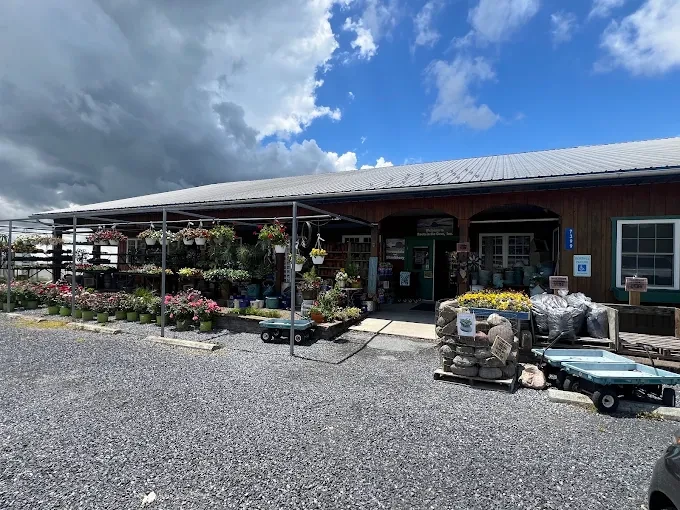 Flower shop image Flower shop image