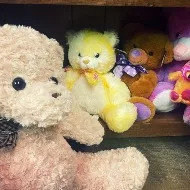 Stuffed Animal Stuffed Animal image