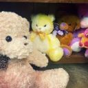 Stuffed Animal image