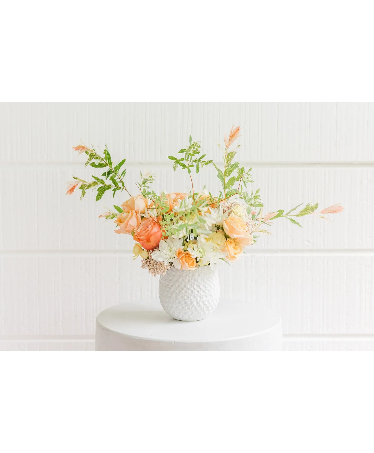 Apricot Glow Apricot Glow