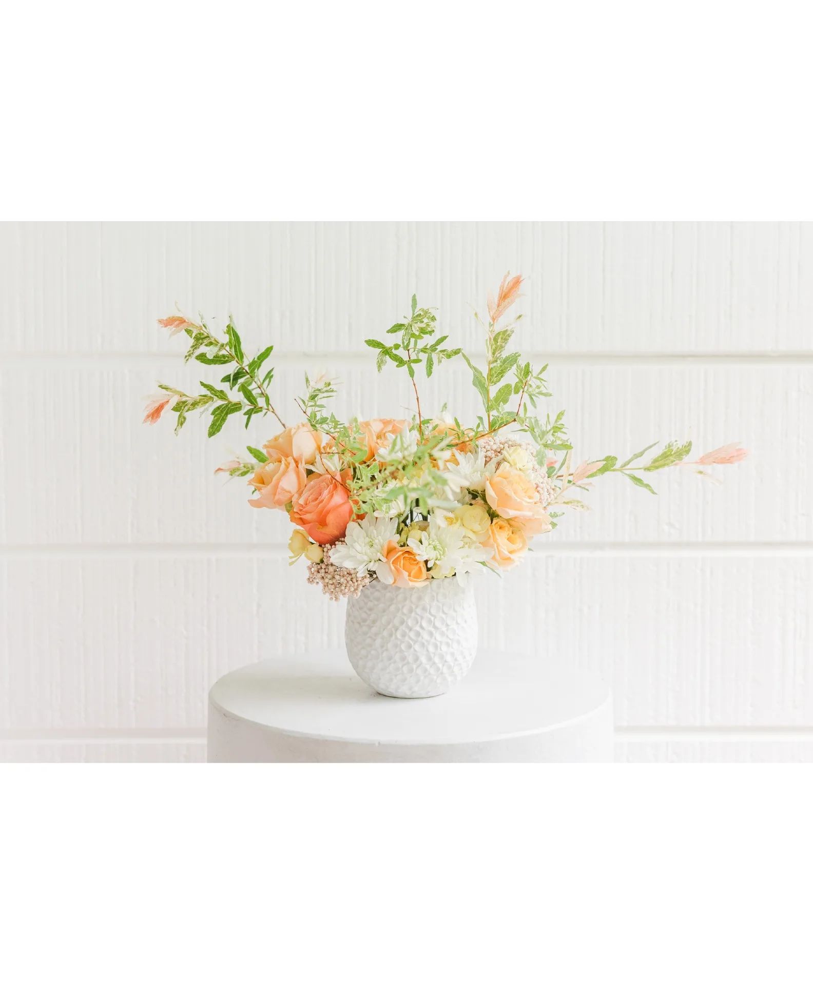 Apricot Glow