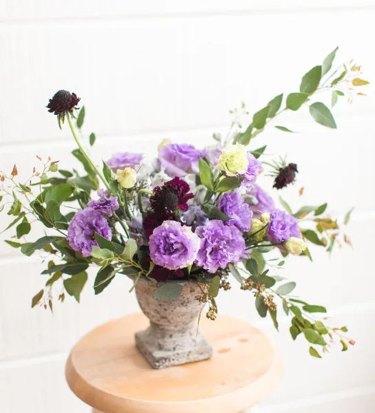 lavender opulence lavender opulence
