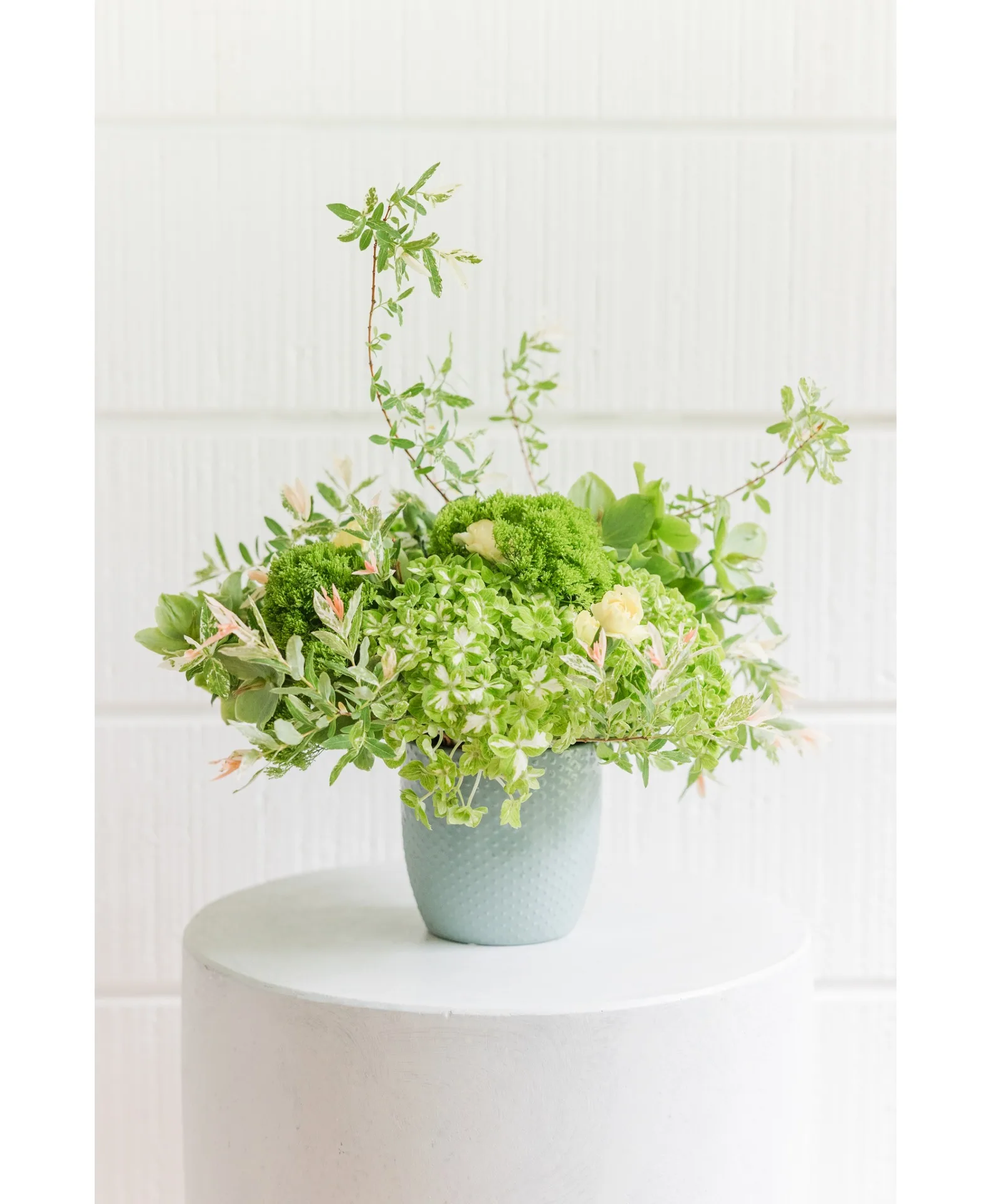Verdant Whisper Verdant Whisper