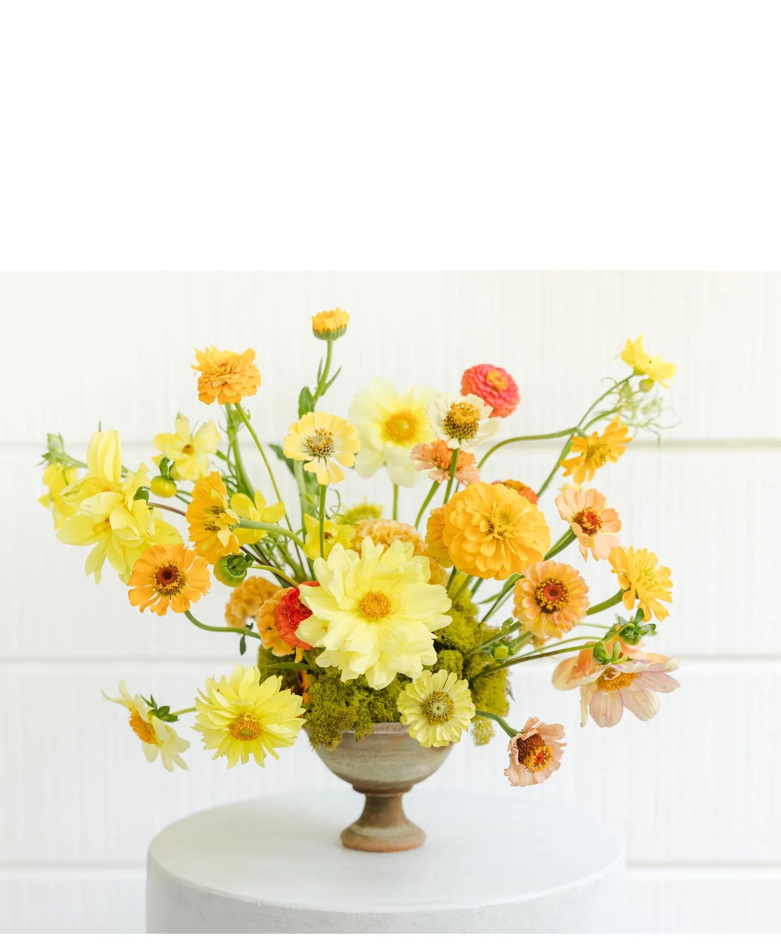 Golden Sunshine Delight
