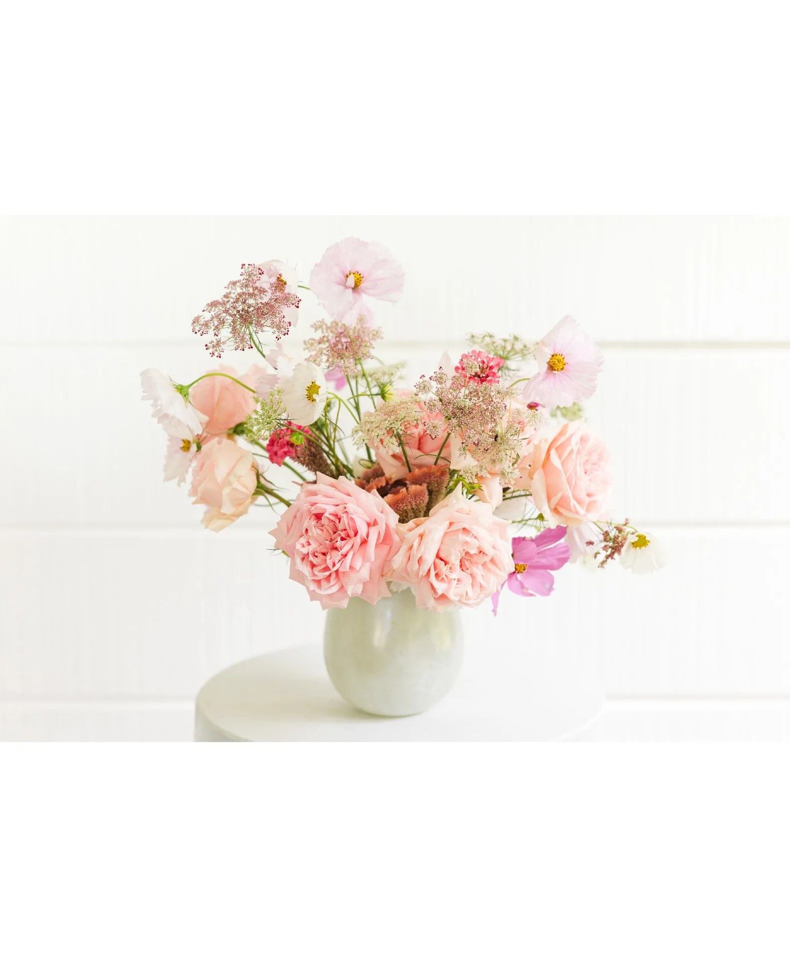 Pink Sorbet Elegance Pink Sorbet Elegance