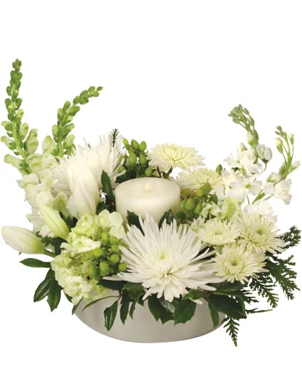 SNOW WONDER Arrangement SNOW WONDER Arrangement