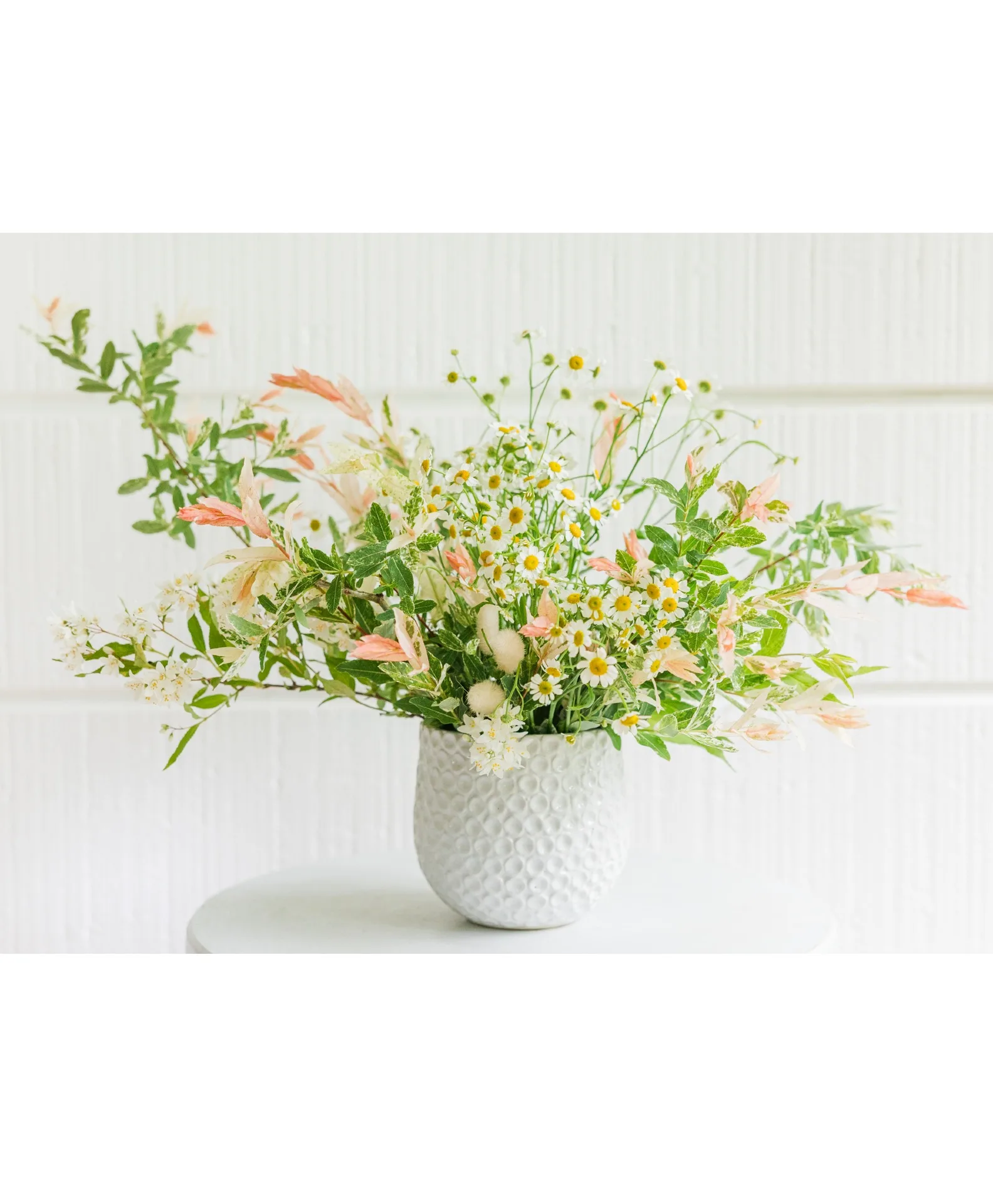 Meadow Breeze Meadow Breeze