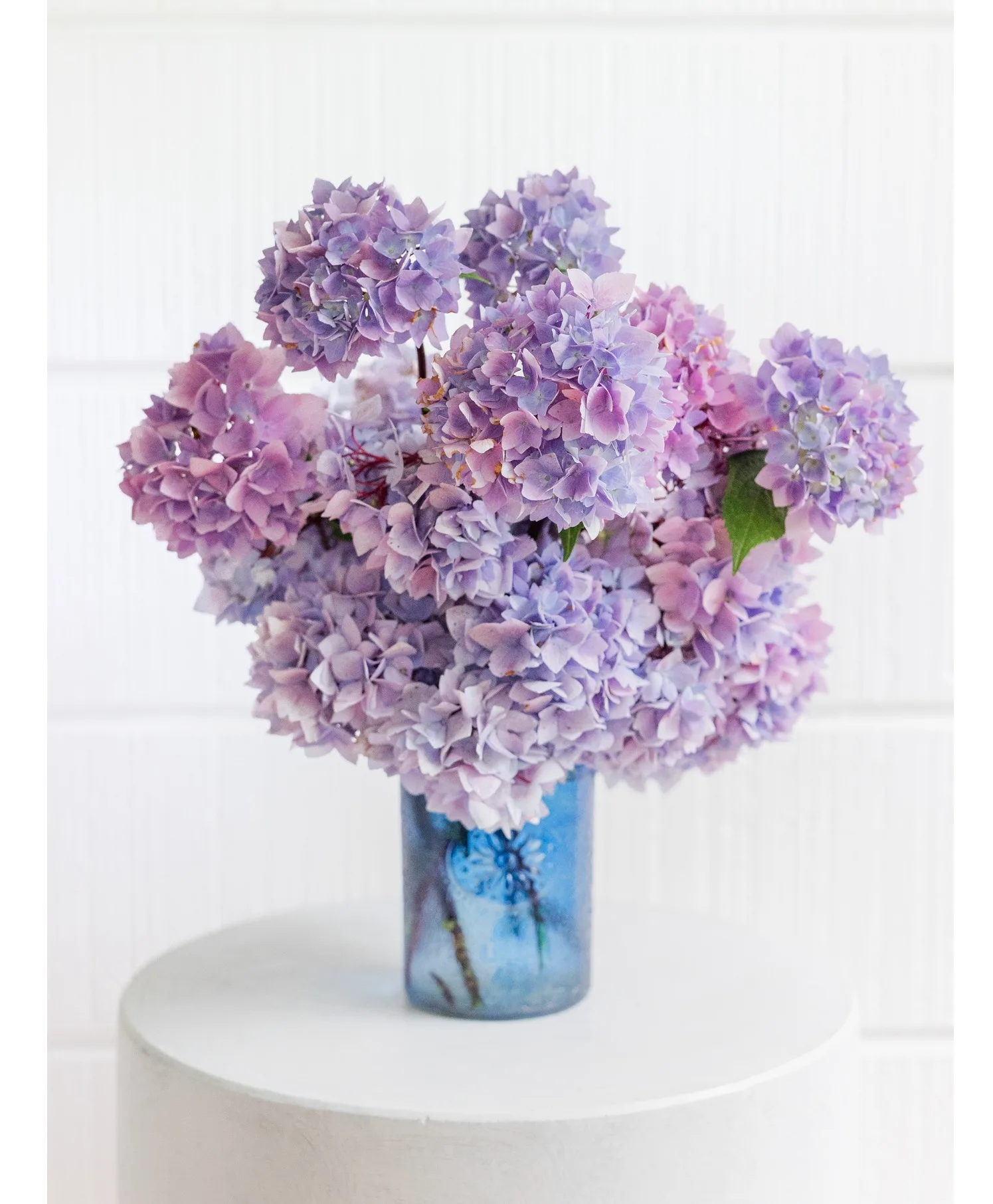 Lavander Hydrengea Lavander Hydrengea
