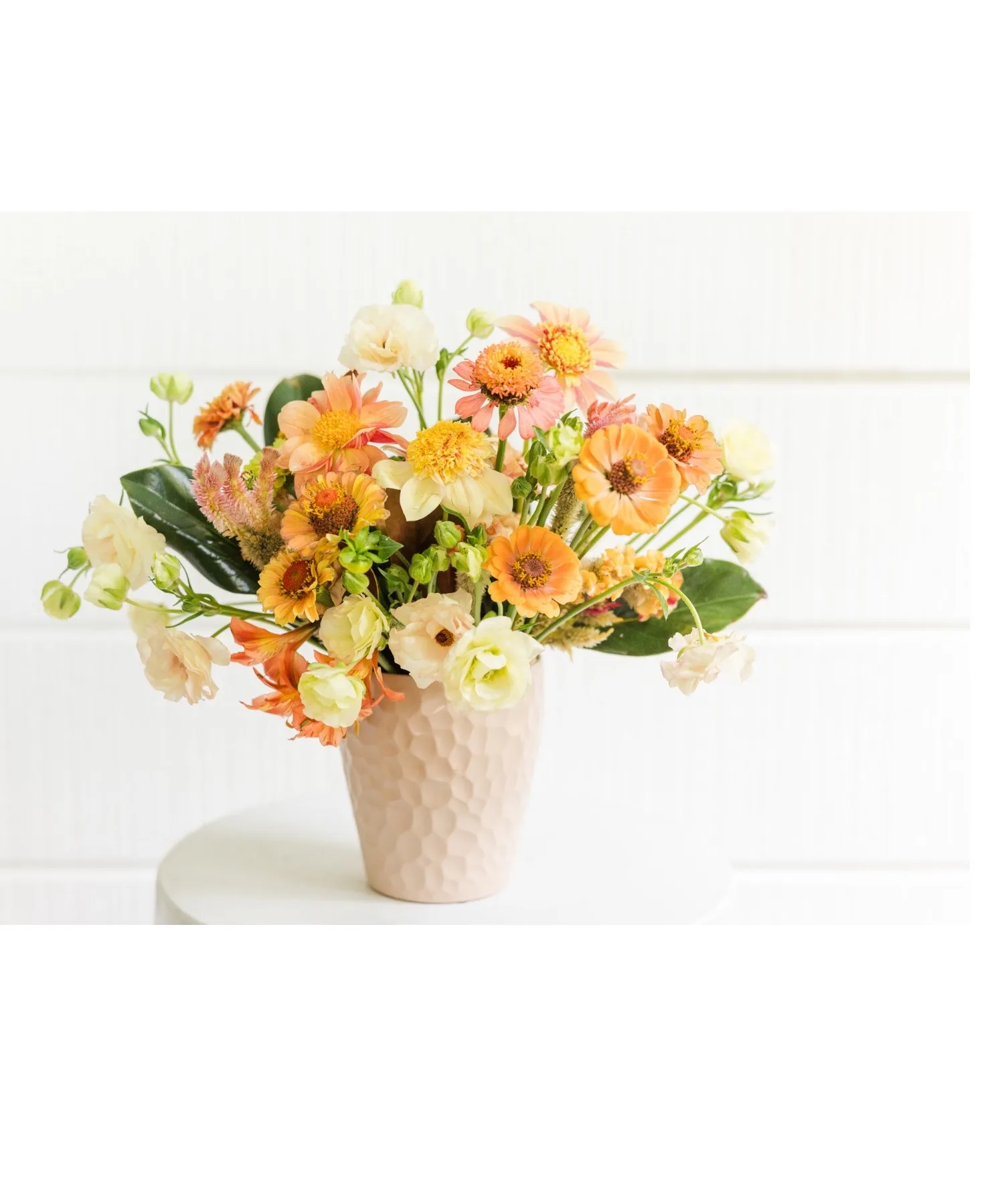 Peach & Honey Blooms – A Soft, Warm Touch Peach & Honey Blooms – A Soft, Warm Touch